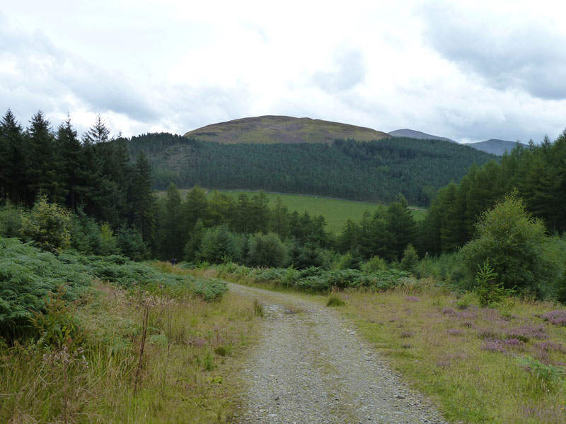 To Whinlatter